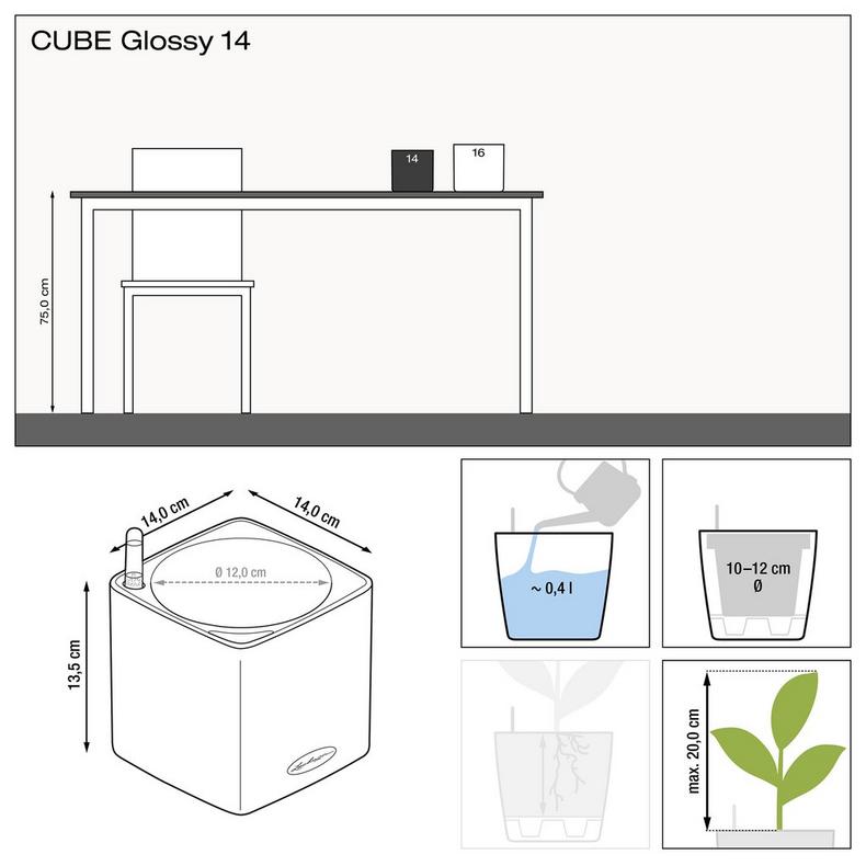 Lechuza Cube Glossy (Special Order)