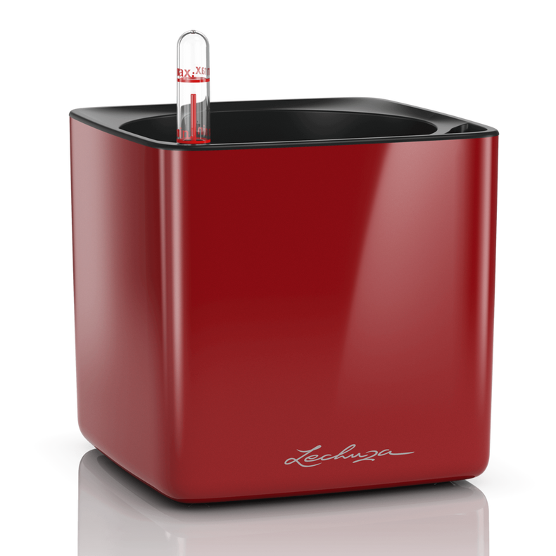 Lechuza Cube Glossy (Special Order)