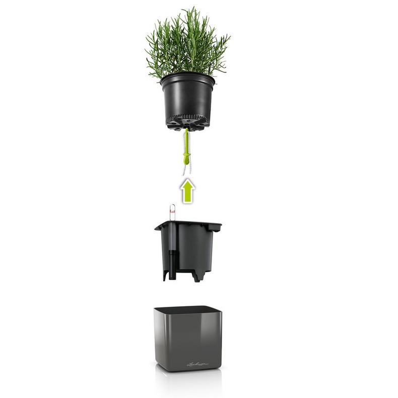 Lechuza Cube Glossy (Special Order)