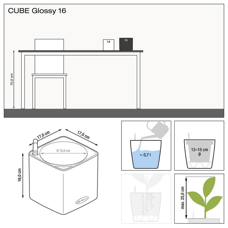 Lechuza Cube Glossy (Special Order)