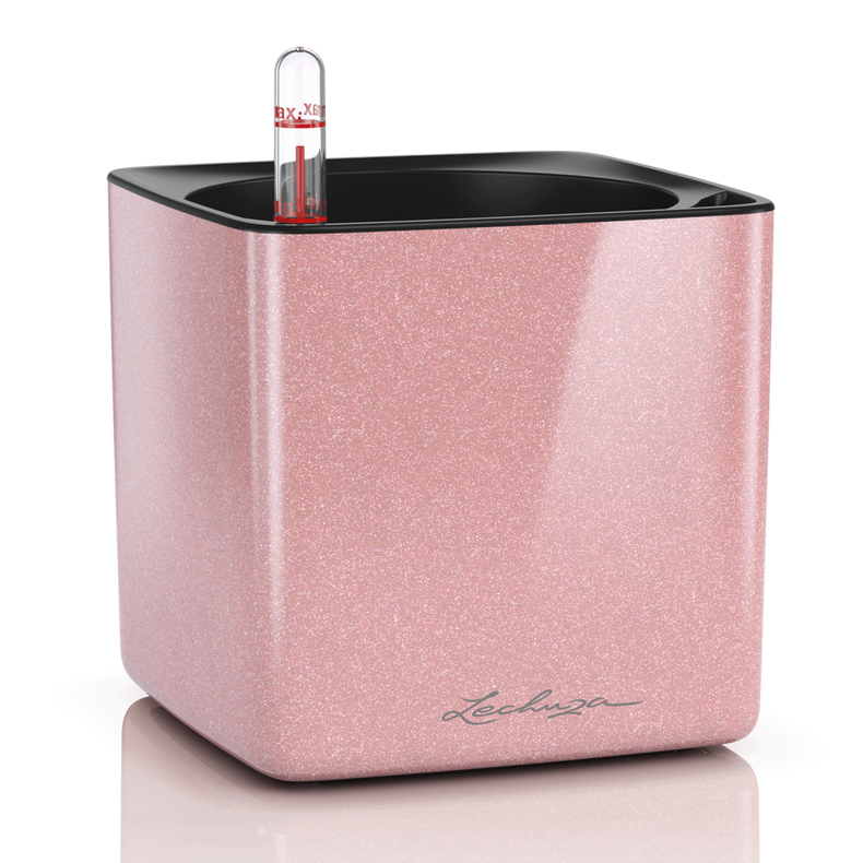 Lechuza Glossy Kiss (Special Order)