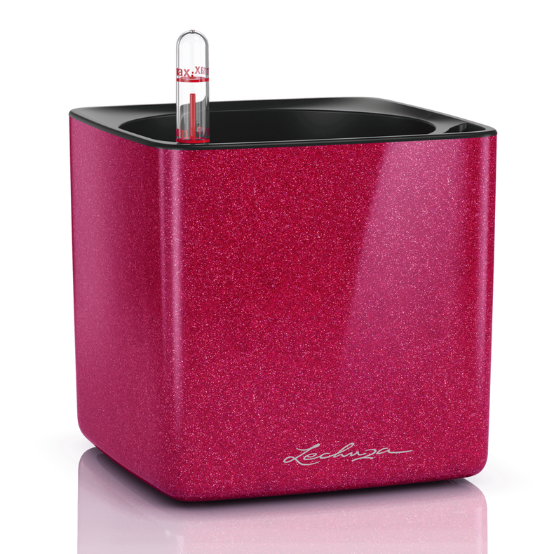 Lechuza Glossy Kiss (Special Order)