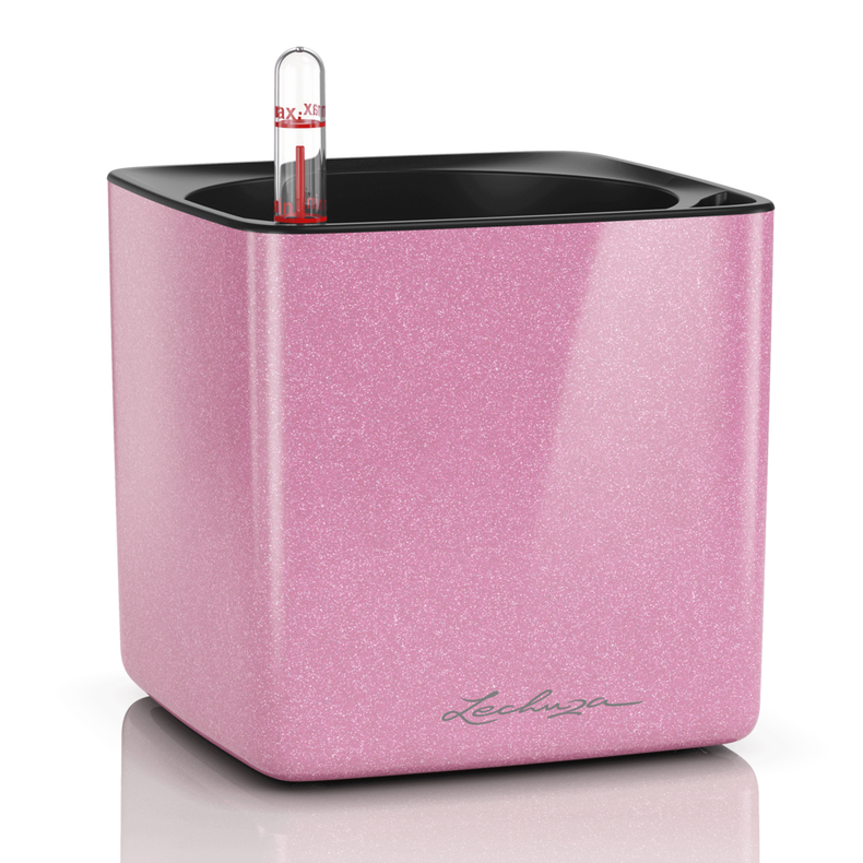 Lechuza Glossy Kiss (Special Order)