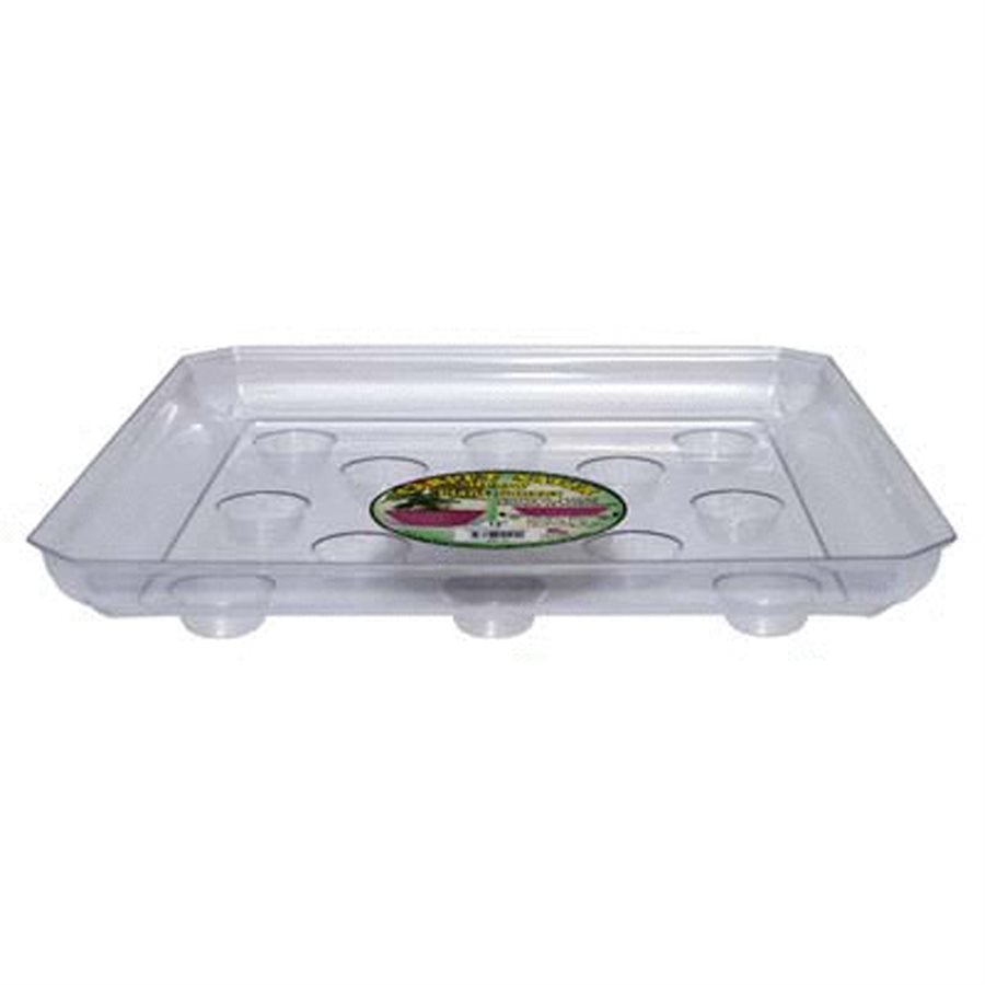 Soucoupes végétales (pied lourd)