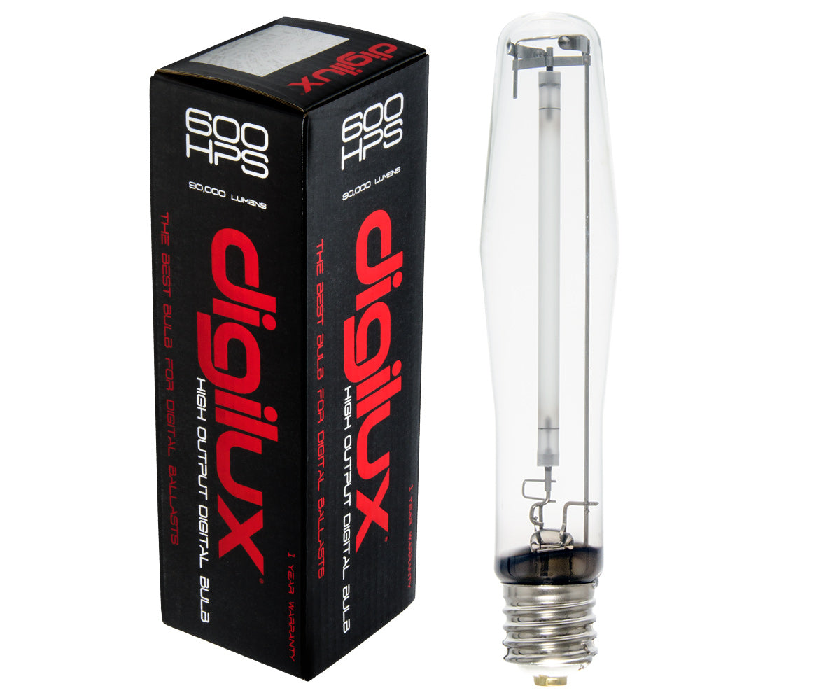 Ampoule Digilux numérique (HPS)
