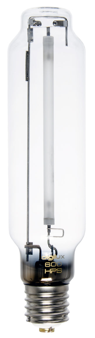 Ampoule Digilux numérique (HPS)