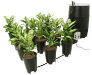 Grow Flow 7 加仑控制器,带 2 加仑桶套件(特别订单)