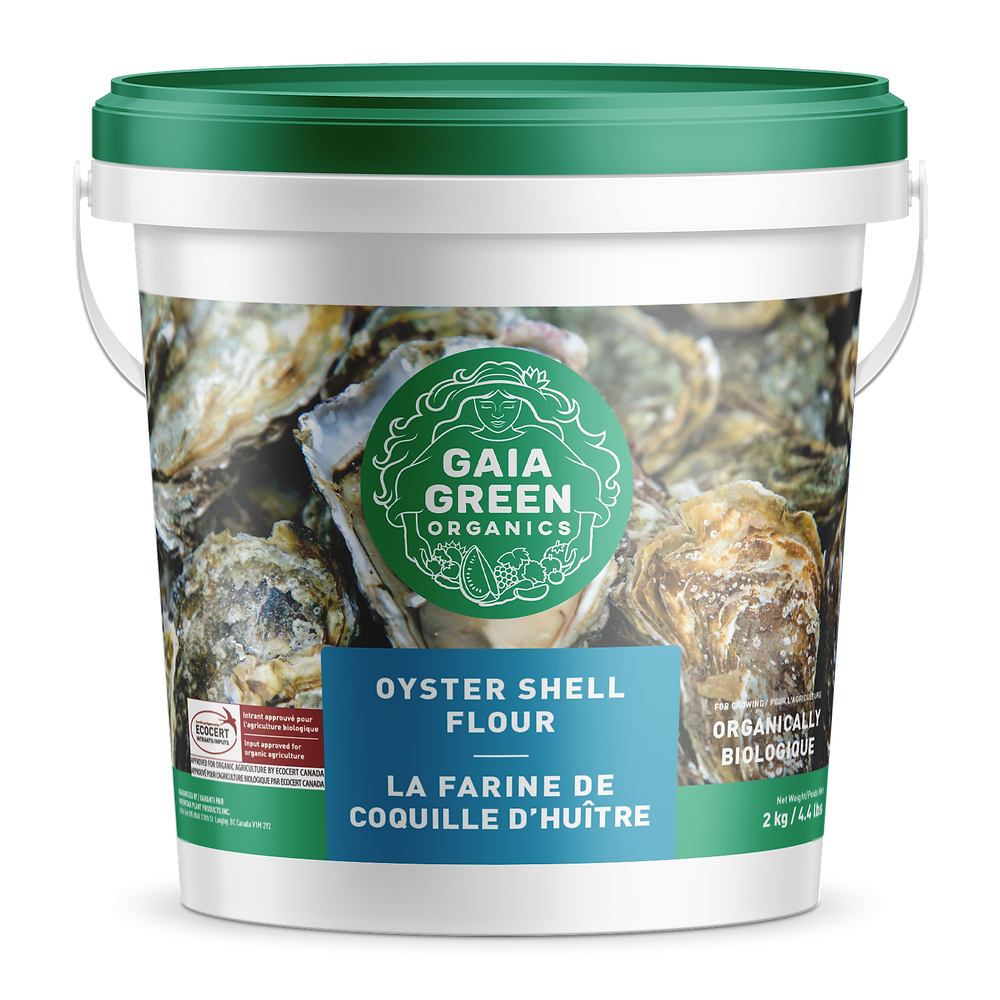 Gaia Green Oyster Shell Flour