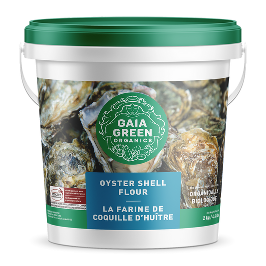 Gaia Green Oyster Shell Flour