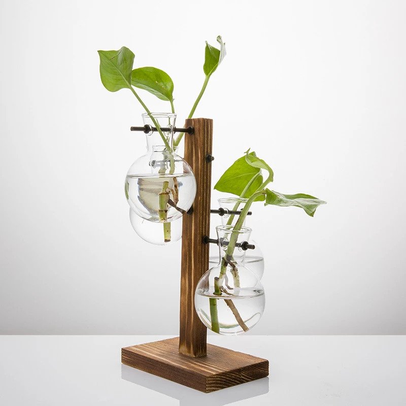 Glass Propagation Vases