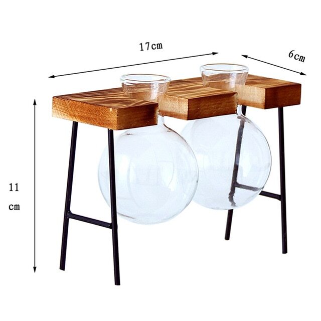 Glass Propagation Vases