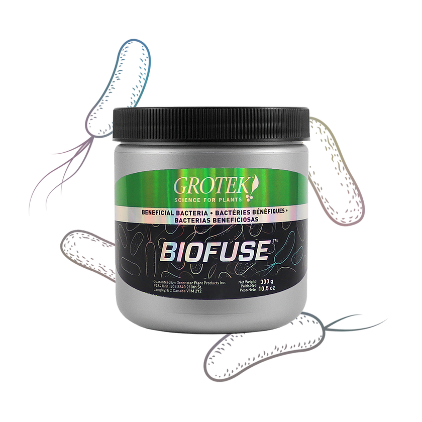 Grotek BioFuse (Sale 30% OFF)