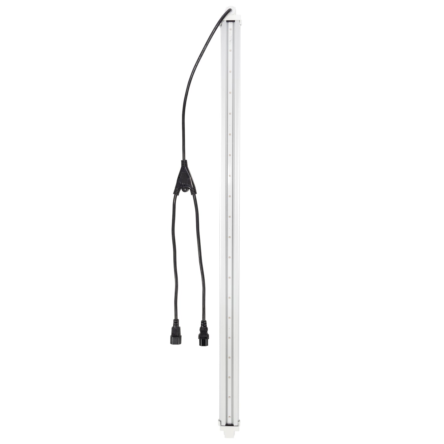 Gavita UVR LED 120-240V(特殊订单)
