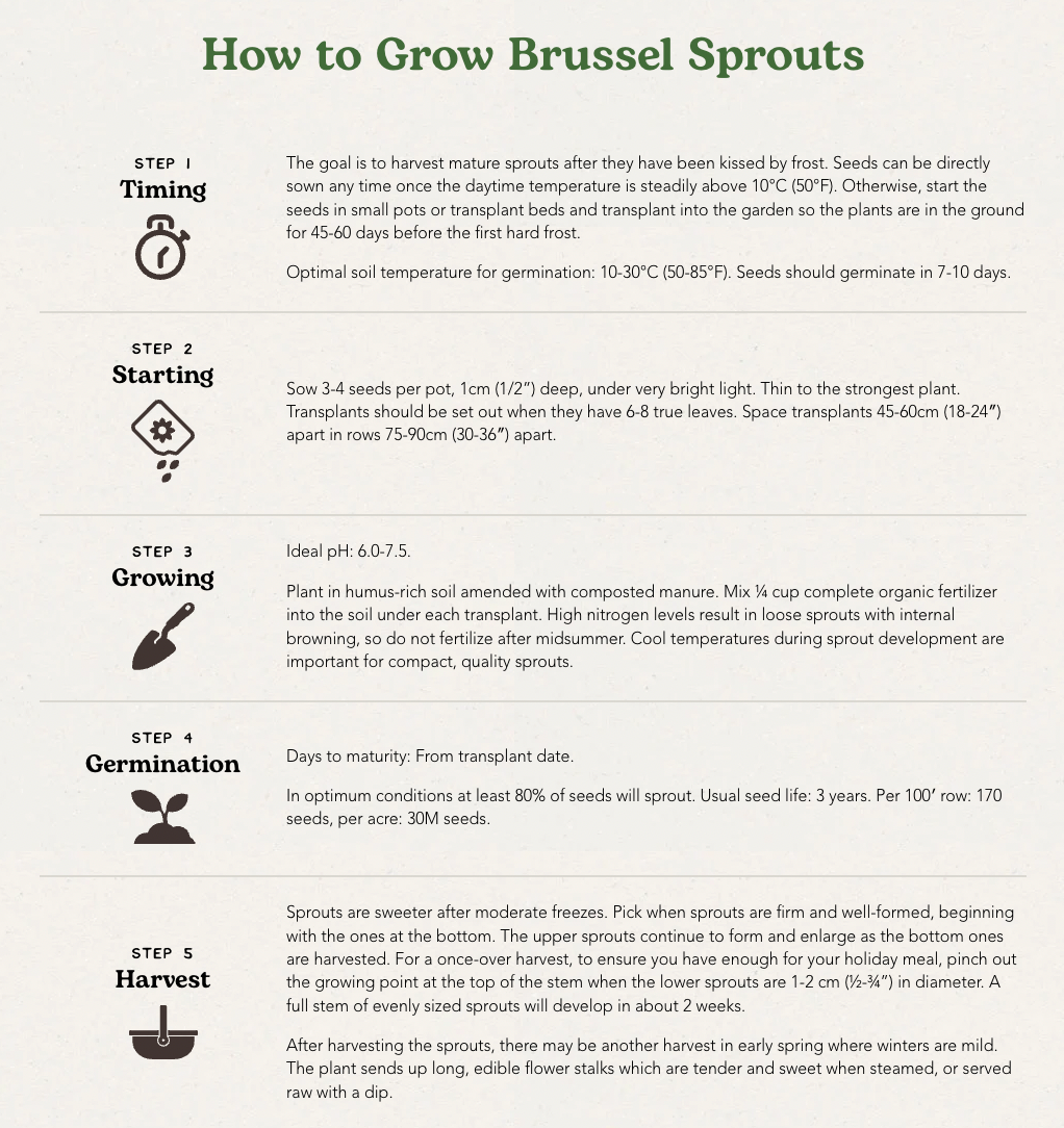West Coast Seeds (Igor Organic Brussel Sprouts)