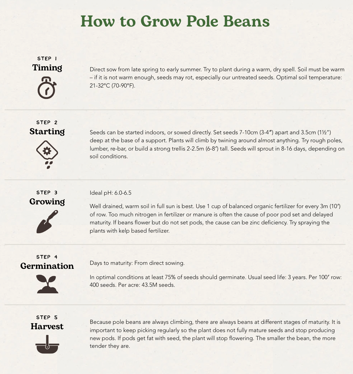 West Coast Seeds (Blue Lake Beans)
