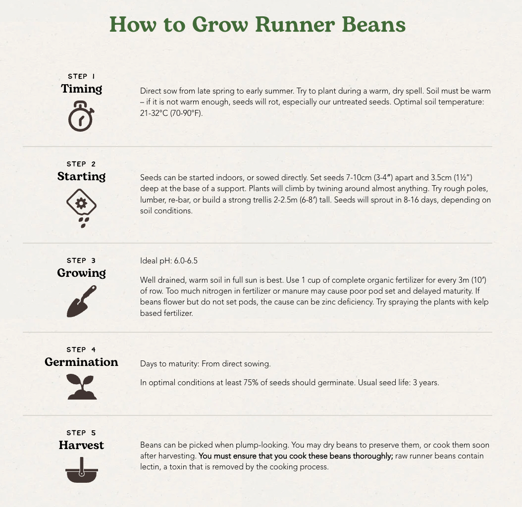 West Coast Seeds (Celebration Beans)