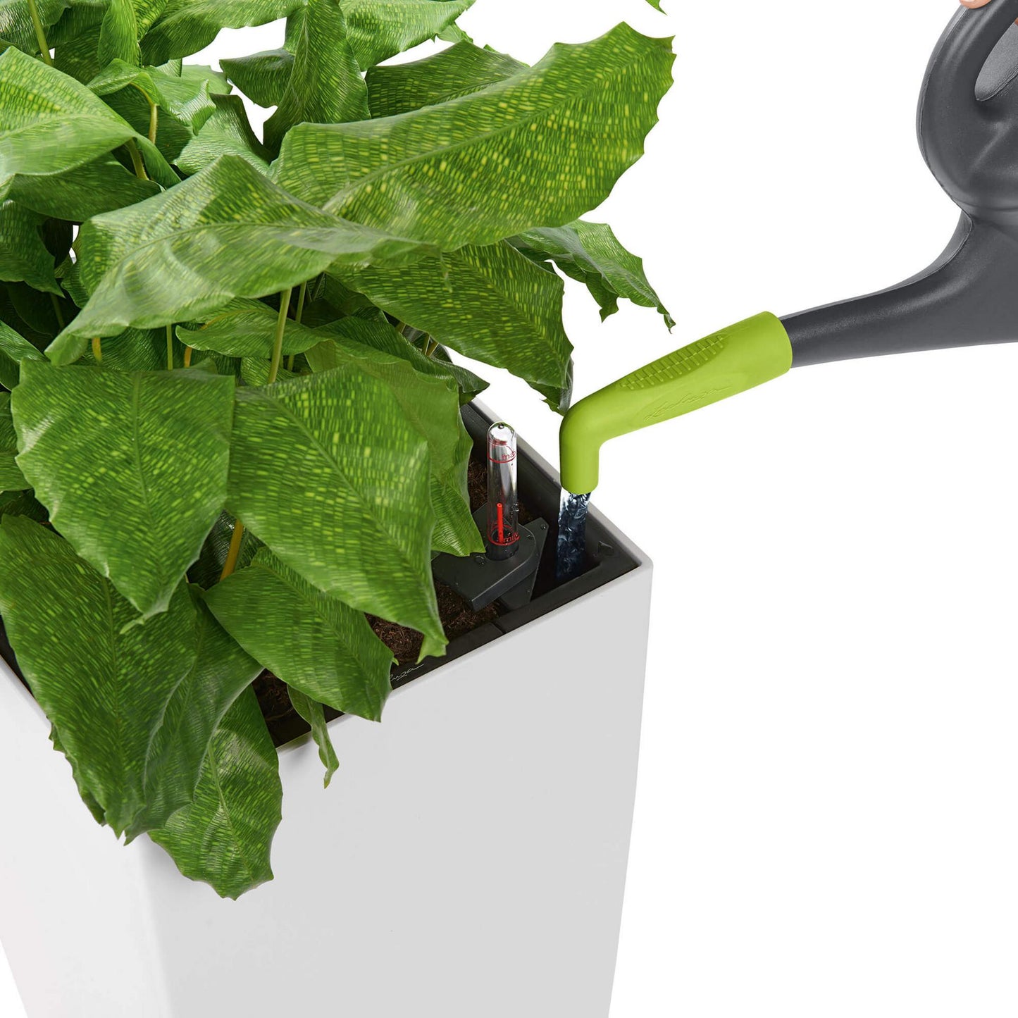 Lechuza Pico Watering Attachment