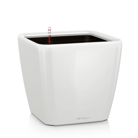 Lechuza Quadro Premium LS(21 和 28)