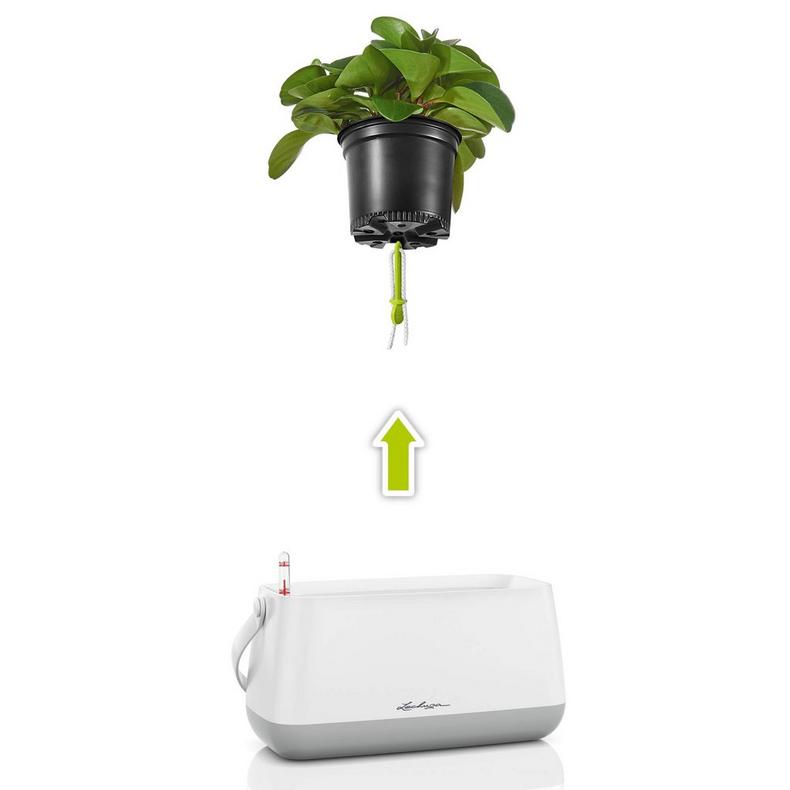 Lechuza Yula Plant Bag