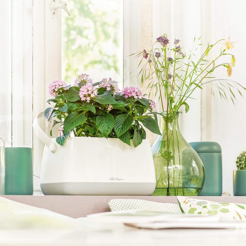 Lechuza Yula Plant Bag