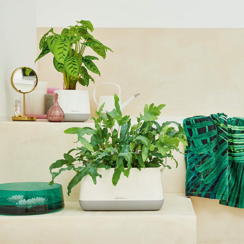 Lechuza Yula Plant Bag