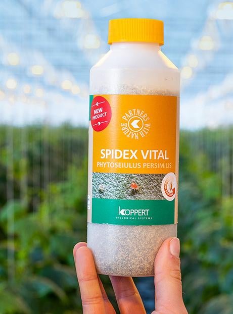 Koppert Spidex Boost 和 Spidex Vital(特别订单)