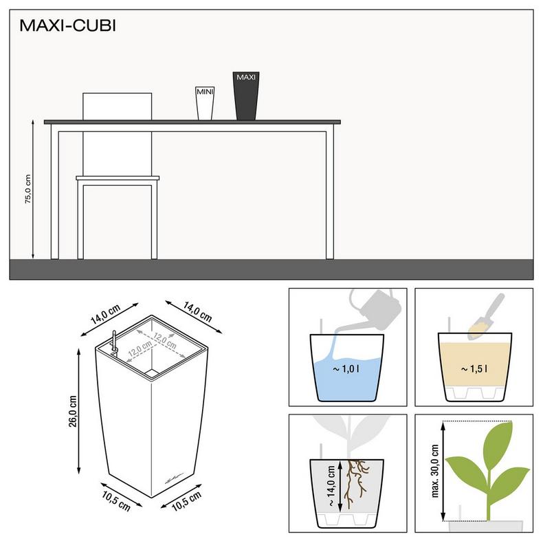 Lechuza Mini & Maxi Cubi Table Planter (Special Order)