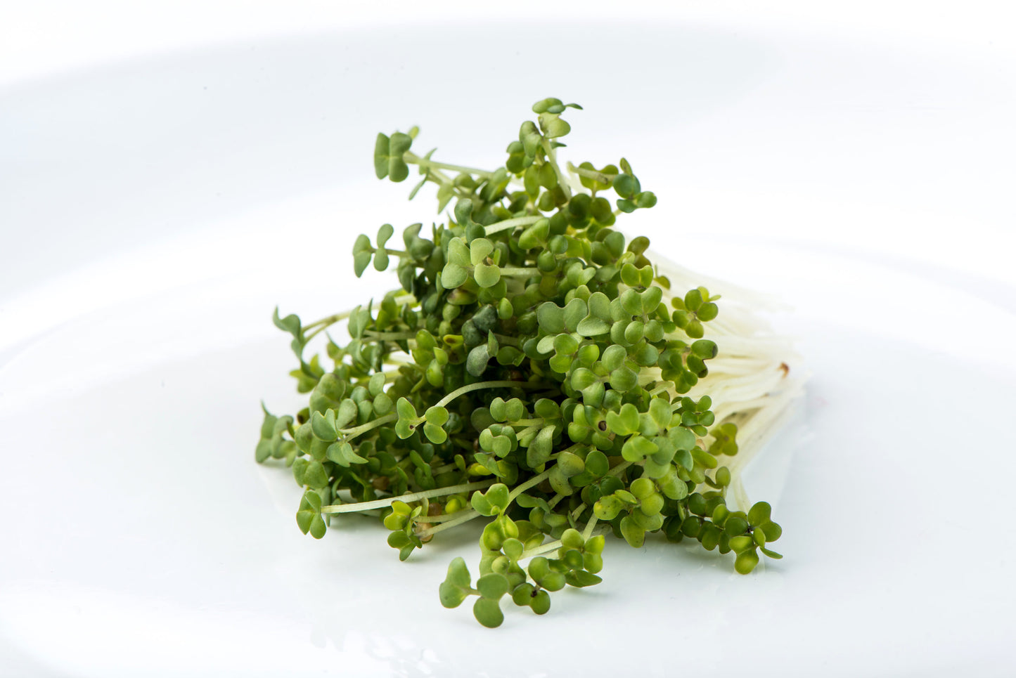 Moutarde orientale au wasabi aux graines germées de Mumm's