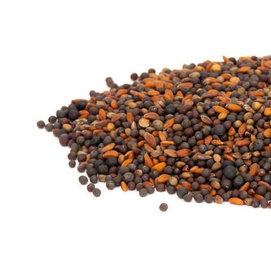 Mumm's Sprating Seeds 辣味微绿混合物