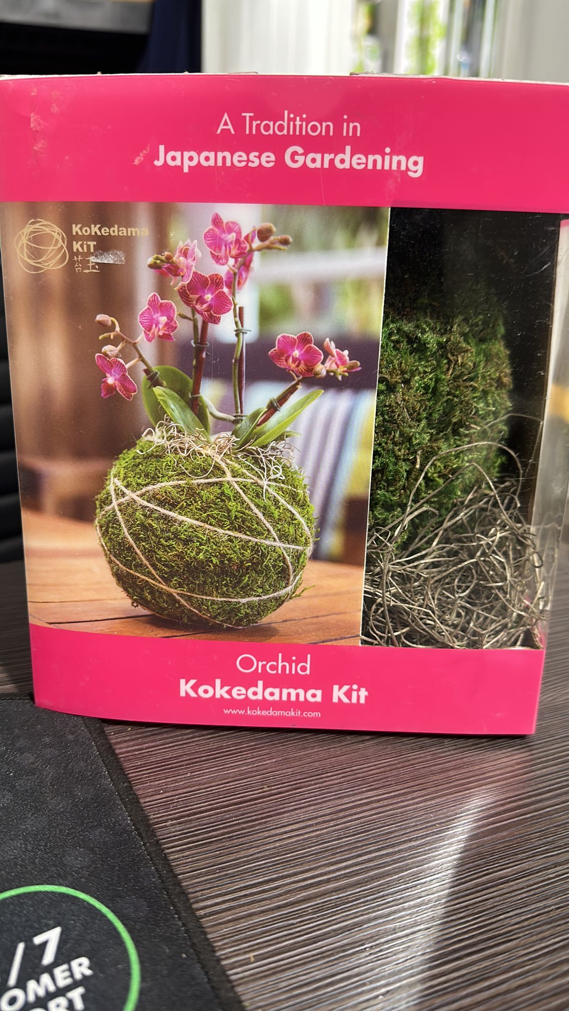 SuperMoss Kokedama 套件 (6")