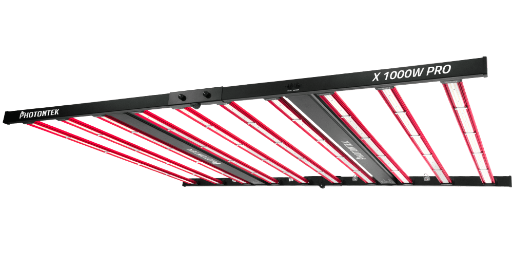 Photontek X Pro LED 灯