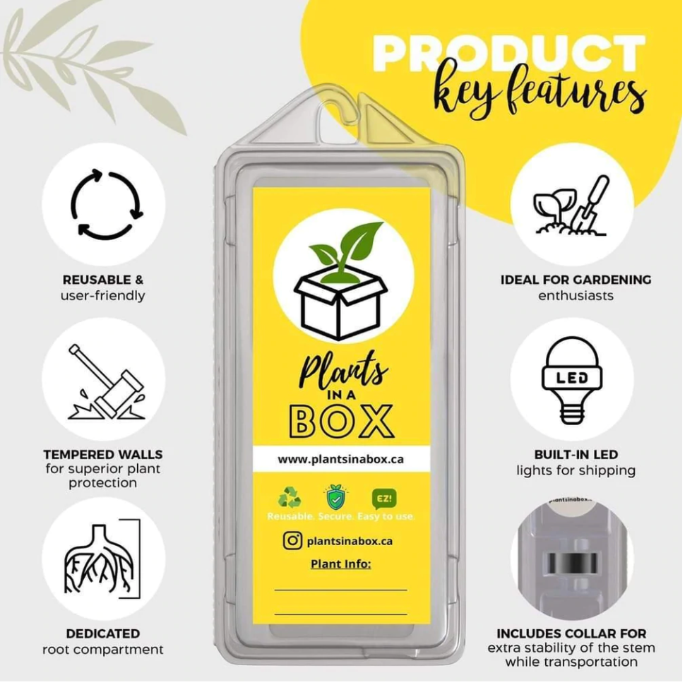 Plants In A Box