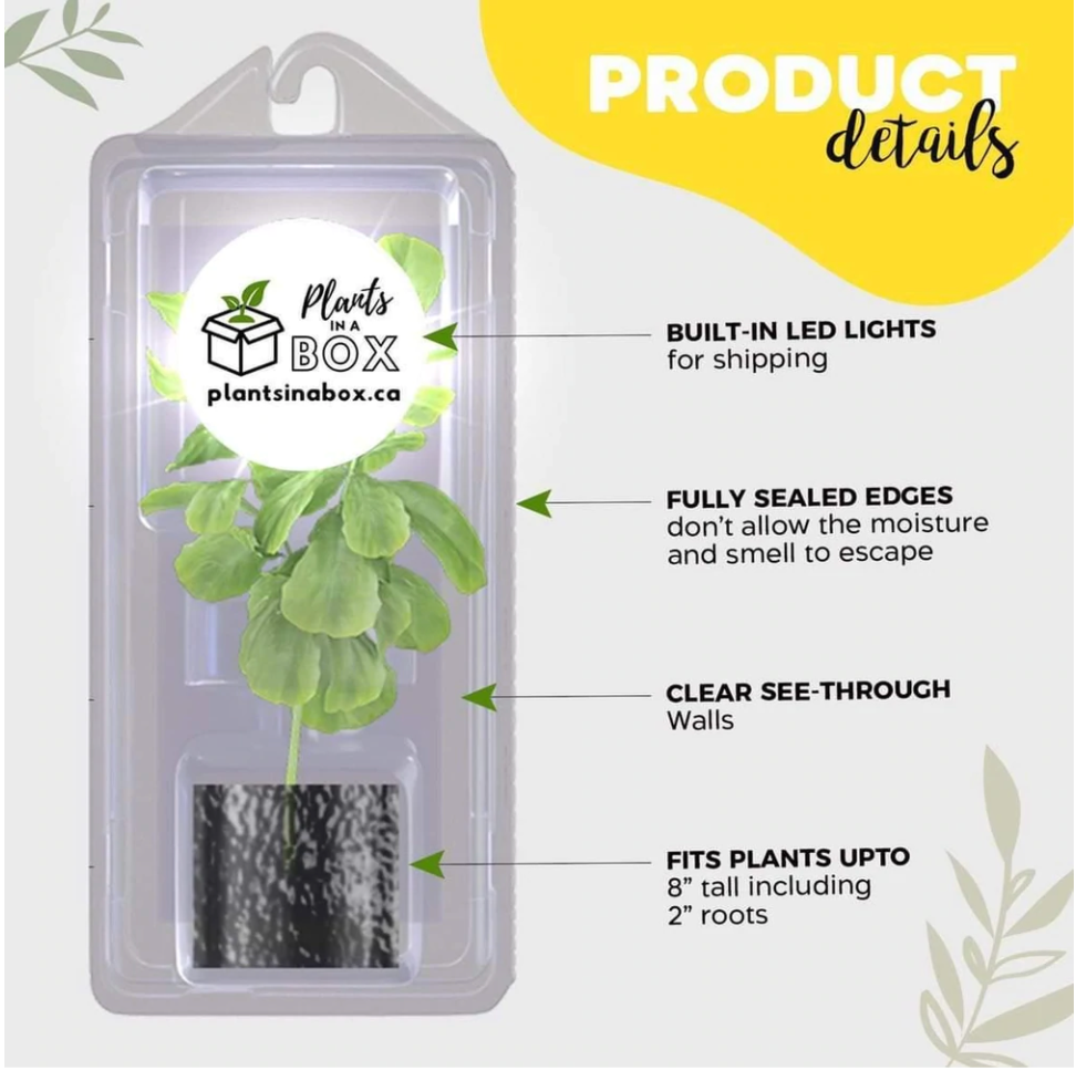 Plants In A Box
