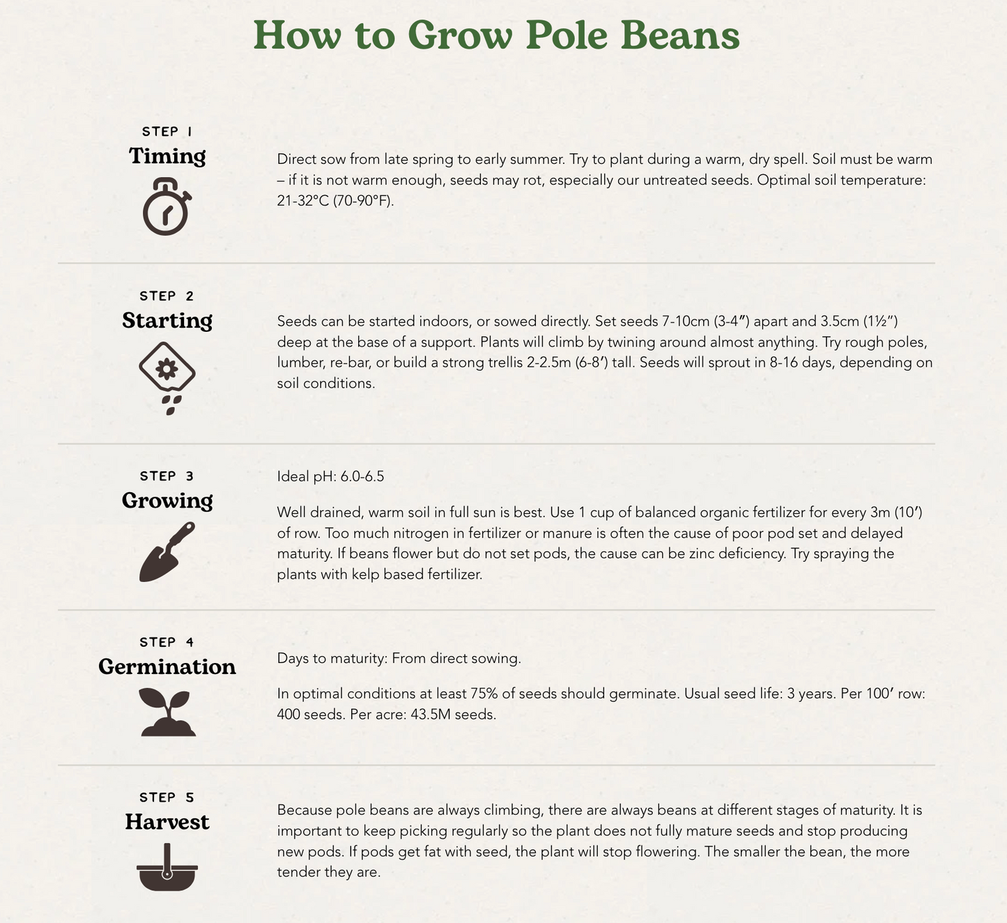West Coast Seeds (Hilda Romano Beans)
