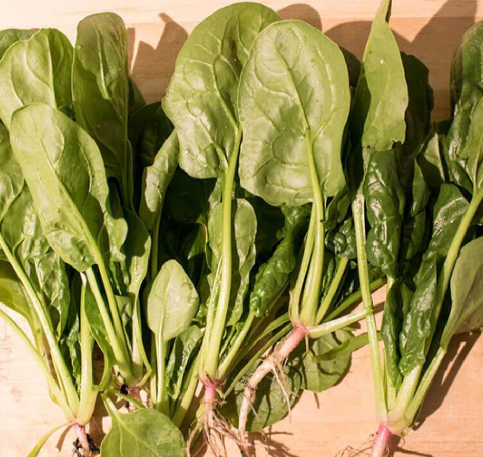 West Coast Seeds (Yukon Spinach)
