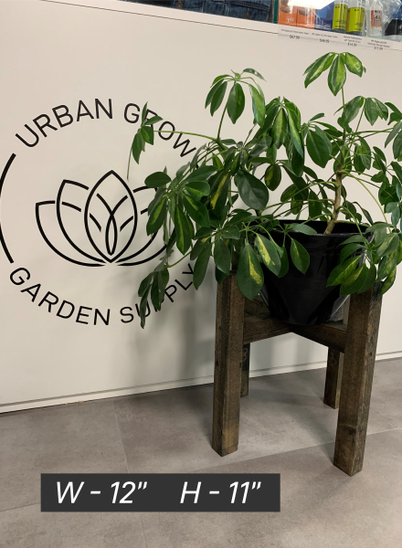 Plant Stands