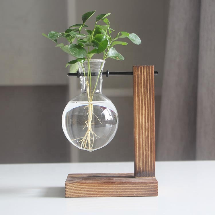 Glass Propagation Vases