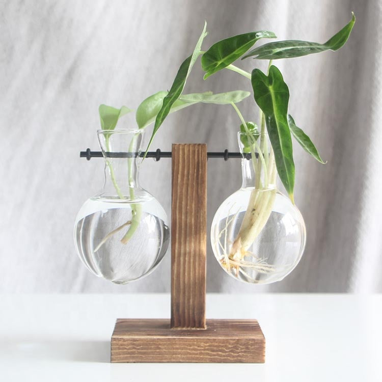 Glass Propagation Vases