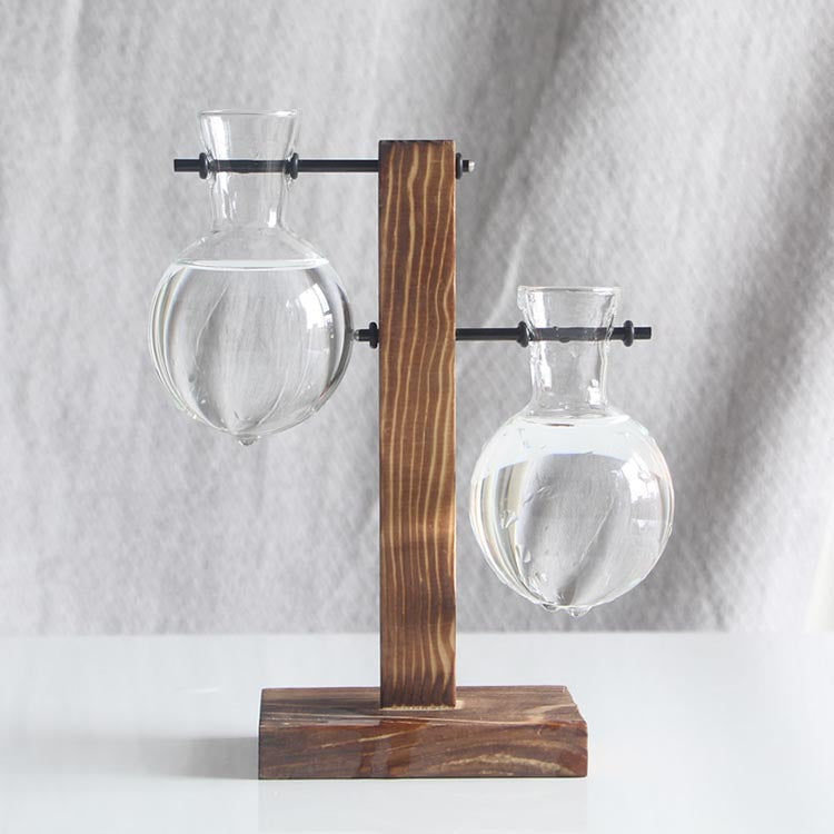 Glass Propagation Vases