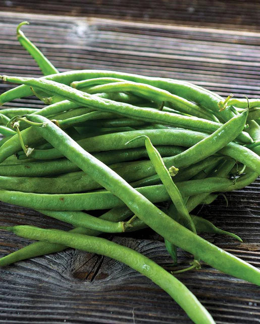 West Coast Seeds (Goliath Beans)
