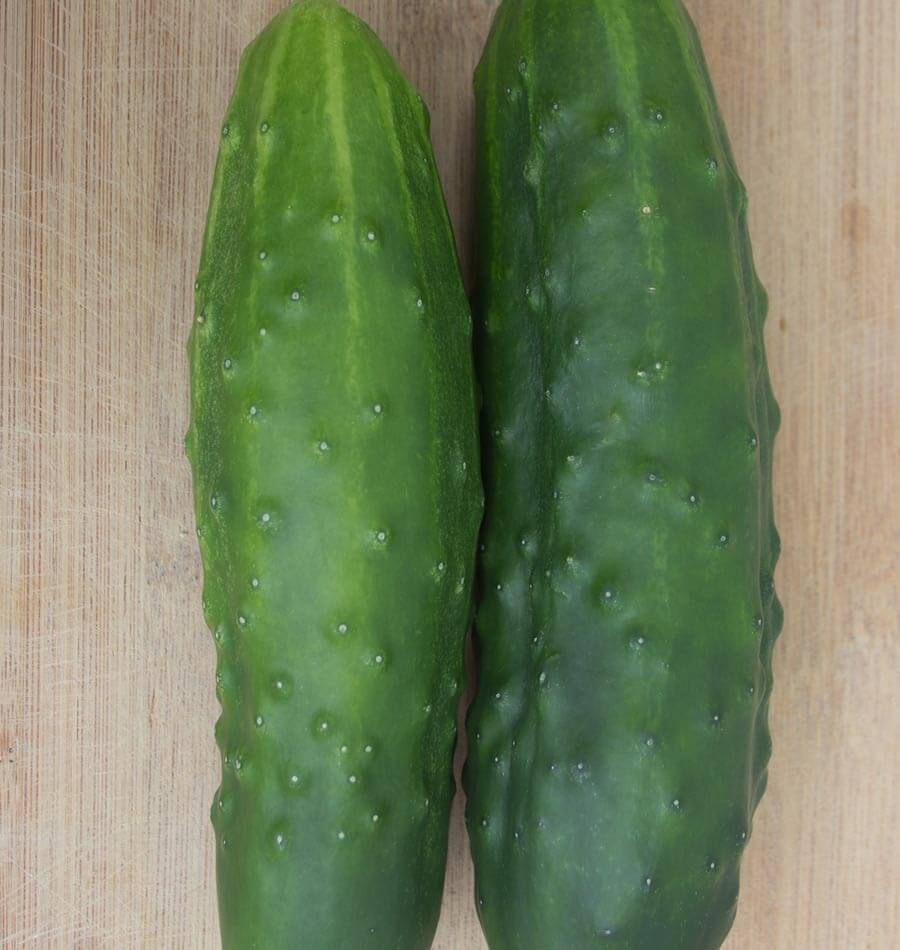 West Coast Seeds (Olympian Cucumbers)