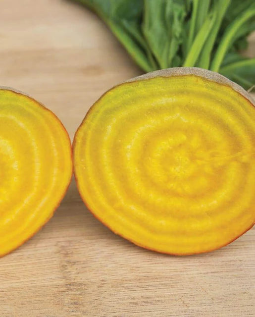 West Coast Seeds (Touchstone Gold Beet)