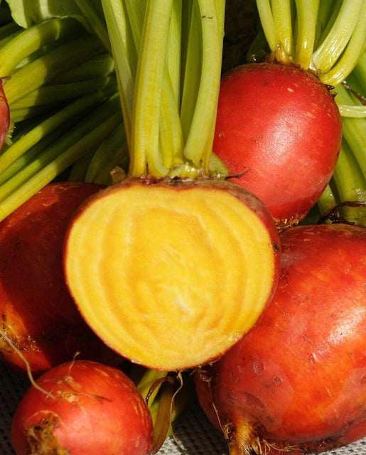 West Coast Seeds (Touchstone Gold Beet)