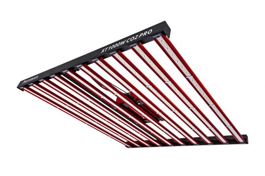 Photontek X Pro LED 灯