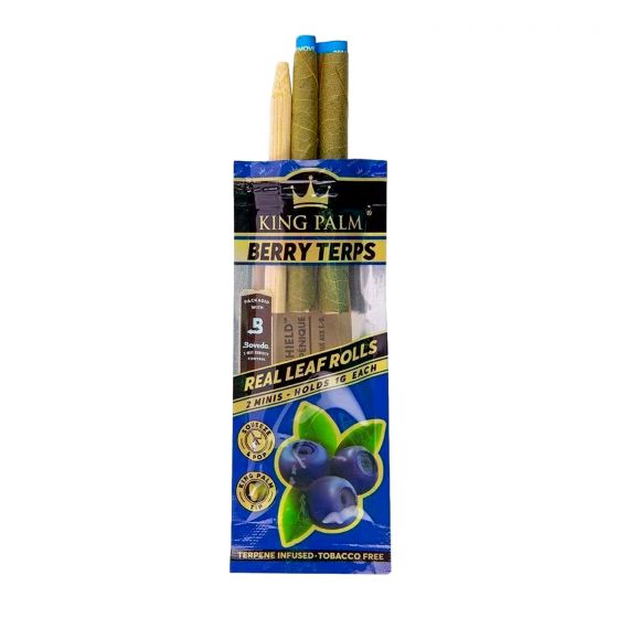 大王棕榈天然棕榈叶(2 包)