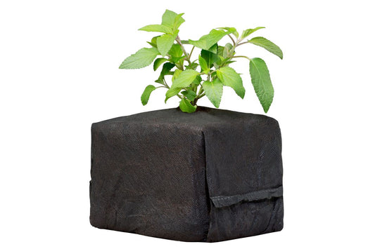 Botanicare CocoPro 植物护理