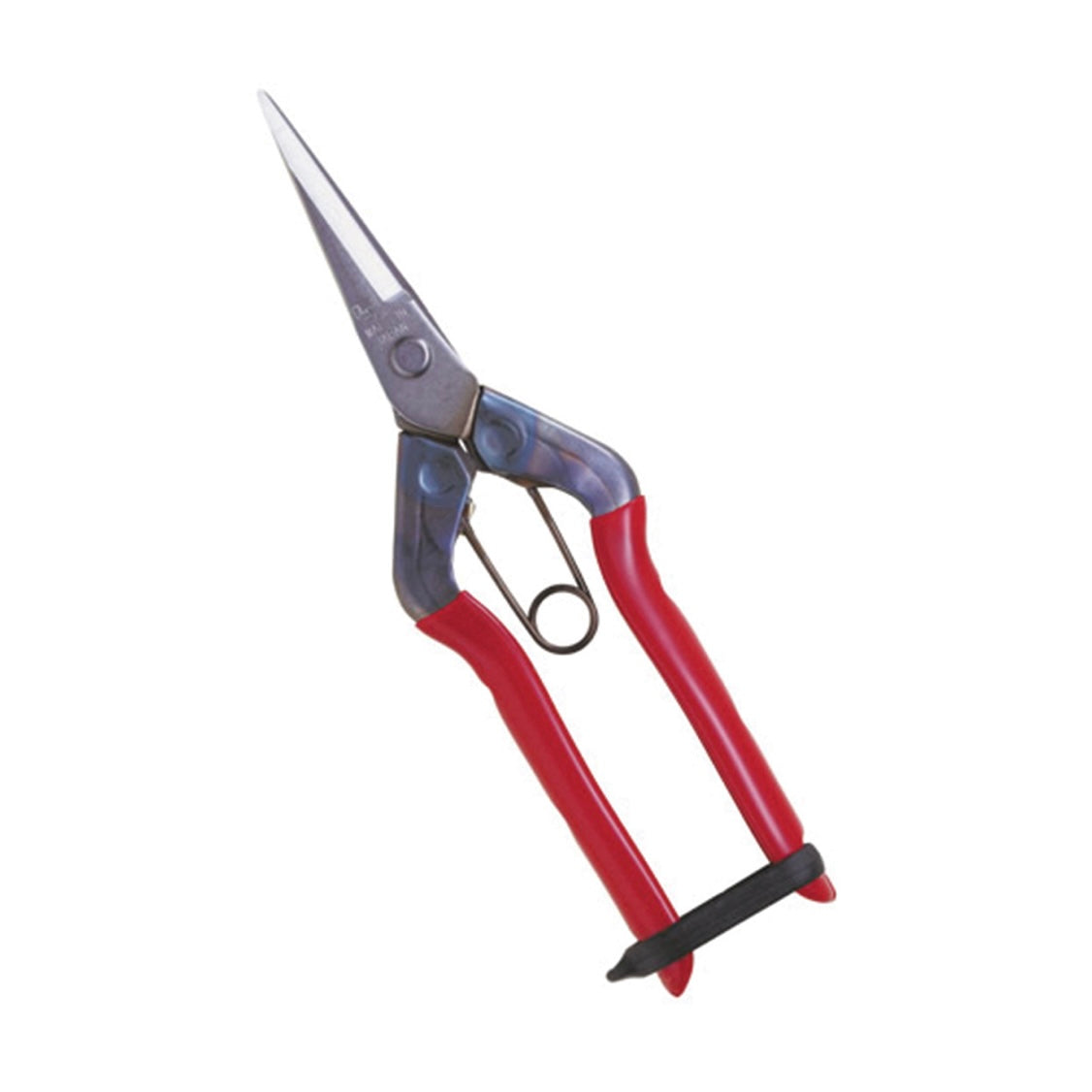 Chikamasa Shears / Pruners / Scissors (Curved + Straight)
