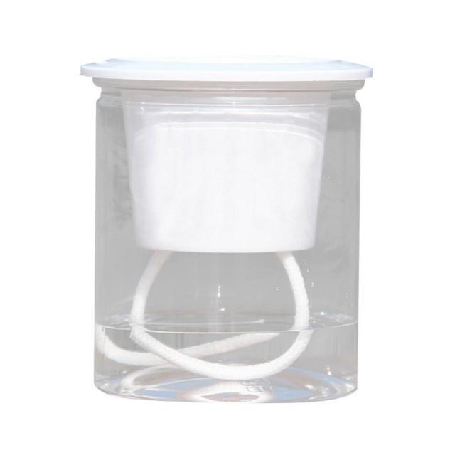 Clear Self Watering Pot