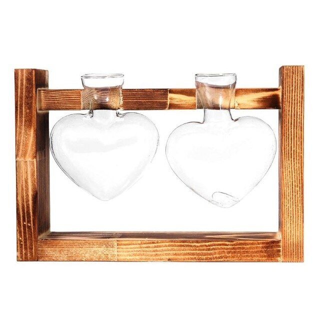 Glass Propagation Vases