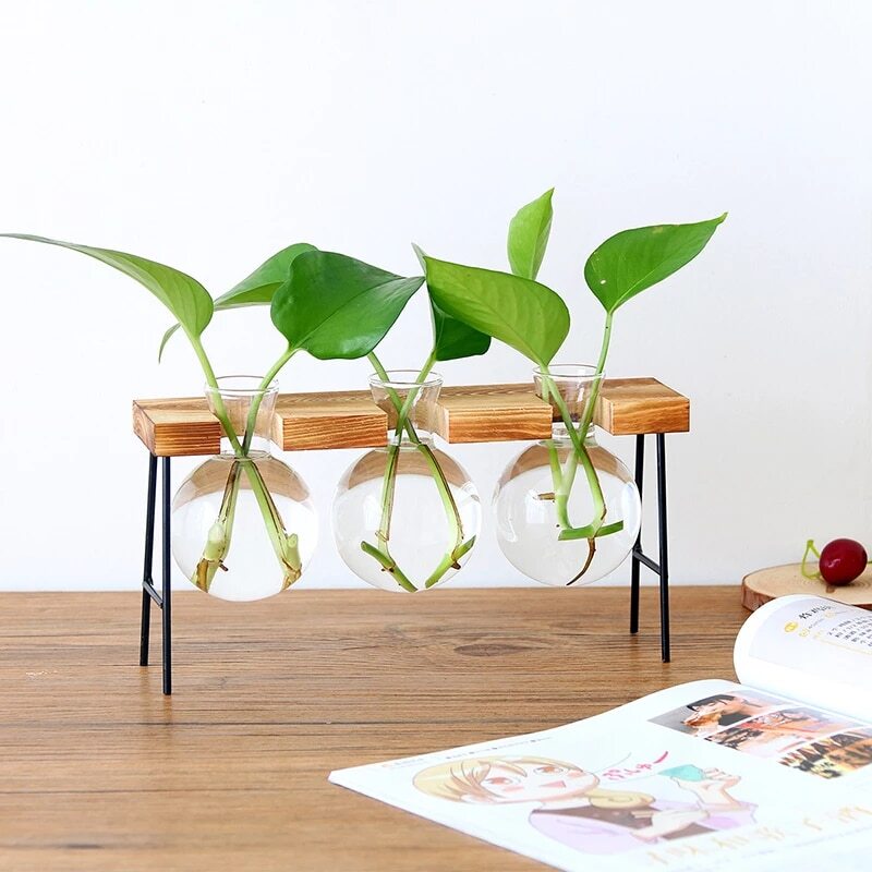 Glass Propagation Vases